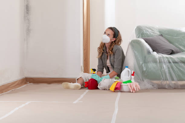 Reliable Black Mold Removal contractor in Somerville, NJ by WQB Mold Removal